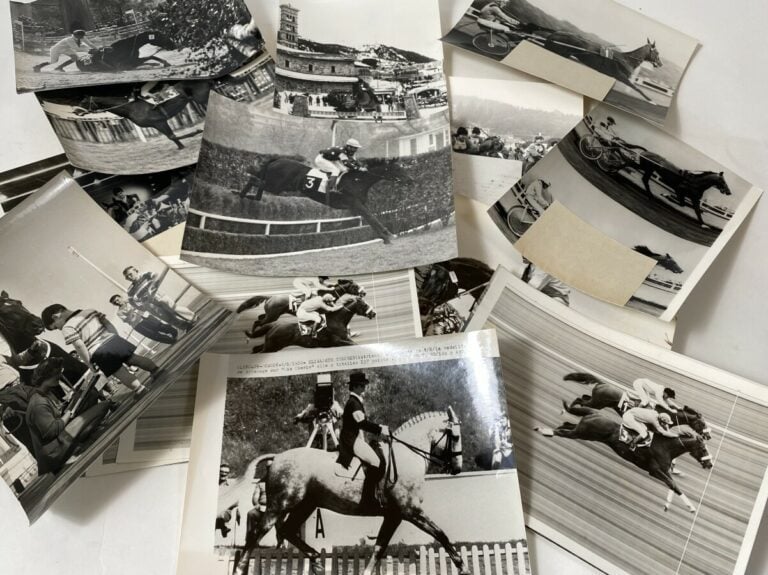 Lot de 25 Photographies hippisme : - Mark Philips/Michael BIRCH/Paul SCHOCKEMOH…