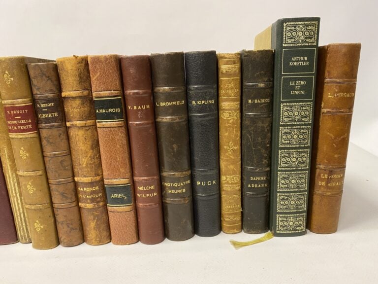 Lot de 25 volumes XIXème siècle, Chateaubriand, George Sand, Théophile Gautier,…