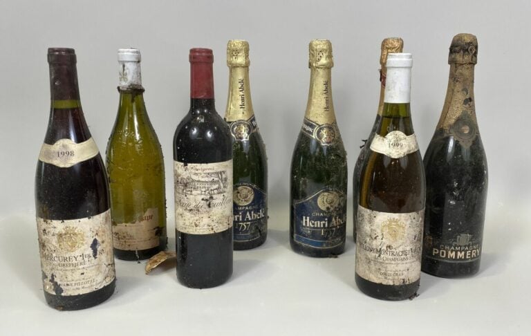 Lot de 8 bts : - 1 Mercurey, Greffière, 1998 - 1 Châteauneuf du Pape 2000 - 1 c…