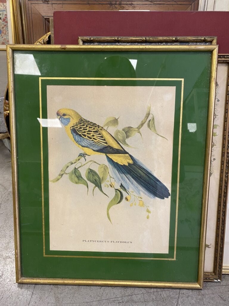 Lot de pièces encadrées, gravure hippique, deux illustrations Nice et Savoie, h…