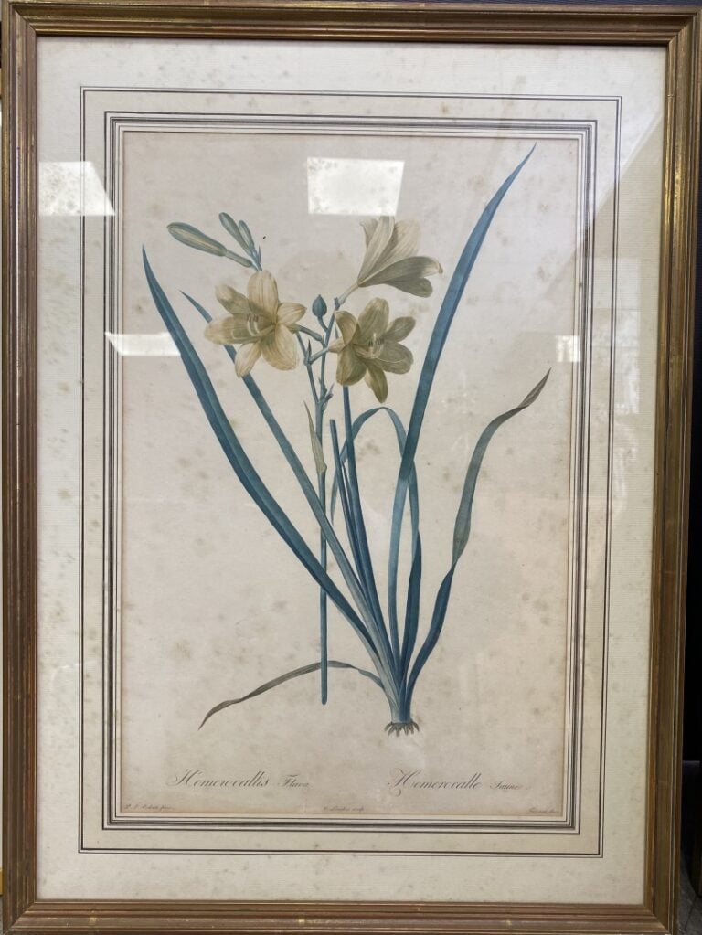 Lot de pièces encadrées, gravure hippique, deux illustrations Nice et Savoie, h…