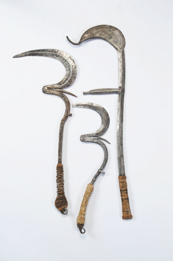 Lot de trois couteaux de jet à lames courbes, Sara, Tchad,54/41/65 cm