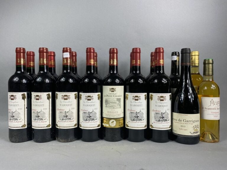Lot d'environ 30 bouteilles de vin - (en l'état)