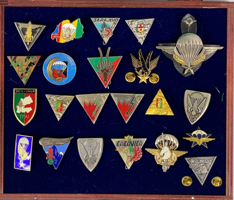 Lot d'insignes de la légion étrangère (environ 20 pièces)