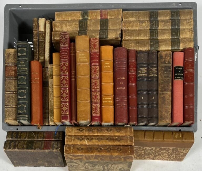 Manette d'environ 60 volumes - Divers 19e-20e - Environ 60 volumes format in-16