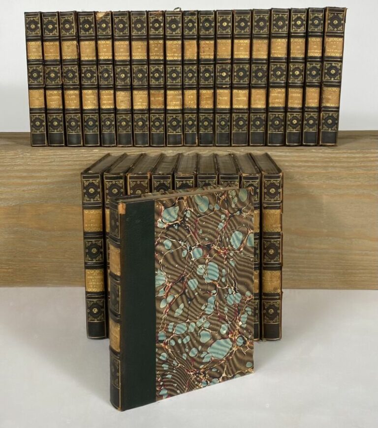 Maupassant - OEuvres - Ollendorf - 28 vol in-12 demi-chagrin
