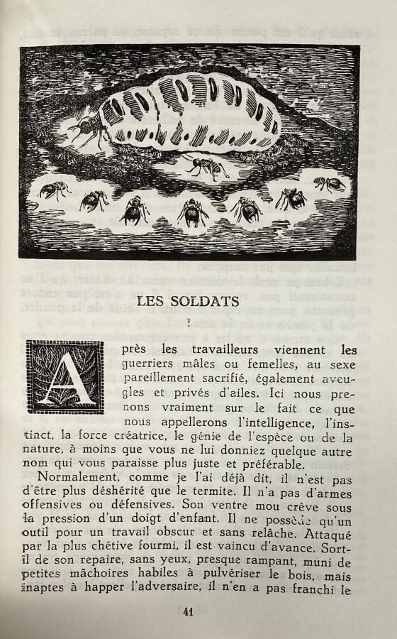 [Maurice Maeterlinck:La vie des abeilles,la vie des fourmis,la vie des termites…