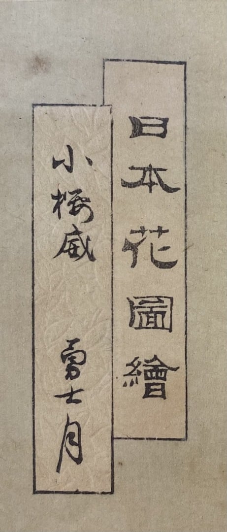 Ogata GEKKO (1859-1920) - Deux estampes représentant pour l'une un guerrier jou…