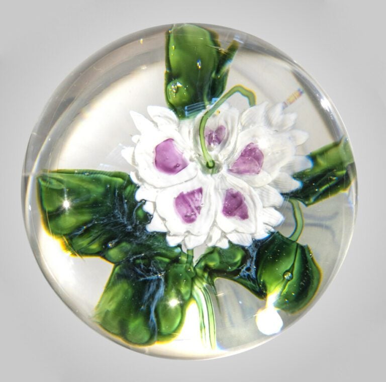 Pantin.Rare presse-papiers orné d'un dahlia blanc et rose vu par le dessous, su…