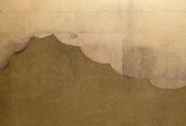Paravent byobu à 6 panneaux avec une peinture continue de différentes fleurs d'…