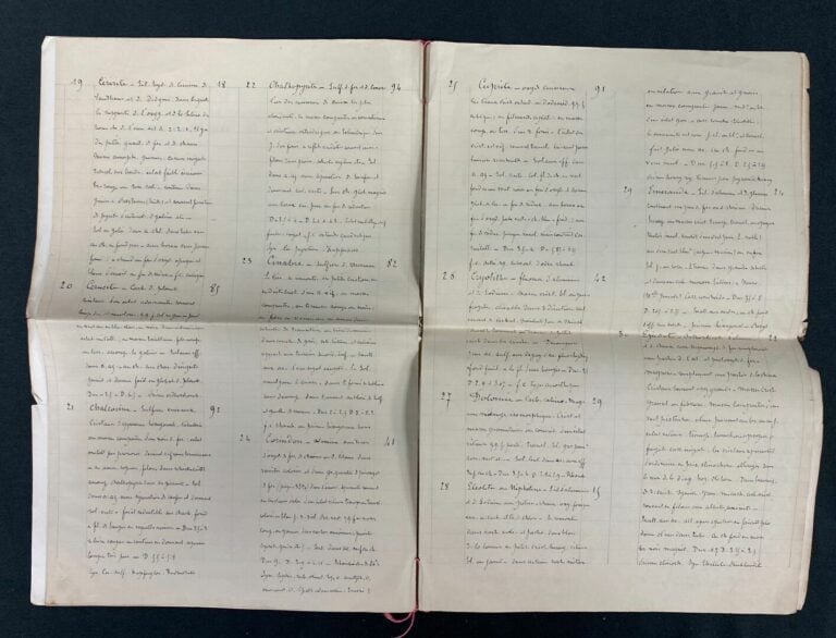 Pièce signée par le cardinal Genga, datée de septembre 1836. - Diplôme de recon…