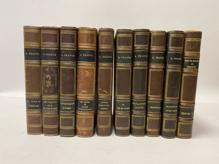 Pierre Loti, 11 volumes reliés, et Anatole France, 9 volumes reliés à l'identiq…