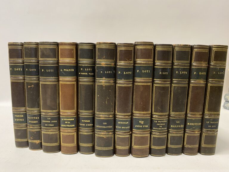 Pierre Loti, 11 volumes reliés, et Anatole France, 9 volumes reliés à l'identiq…