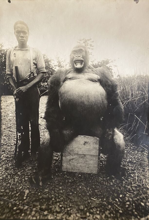 REPUBLIQUE DE CENTRAFRIQUE Classeur : Diverses archives avant 1940. Cérémonies,…