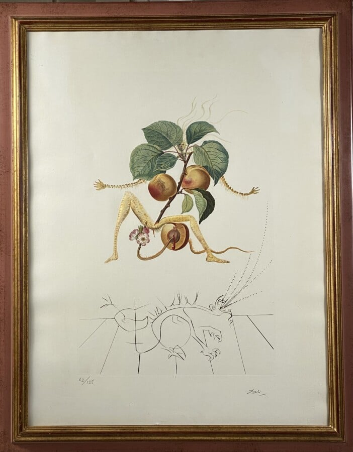 Salvador DALI (1904-1989) - Abricot, 1969 1969/70 ( Lopsinger n°356) - Lithogra…