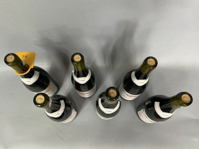 Santenay, Premier Cru - Six bouteilles, 1996