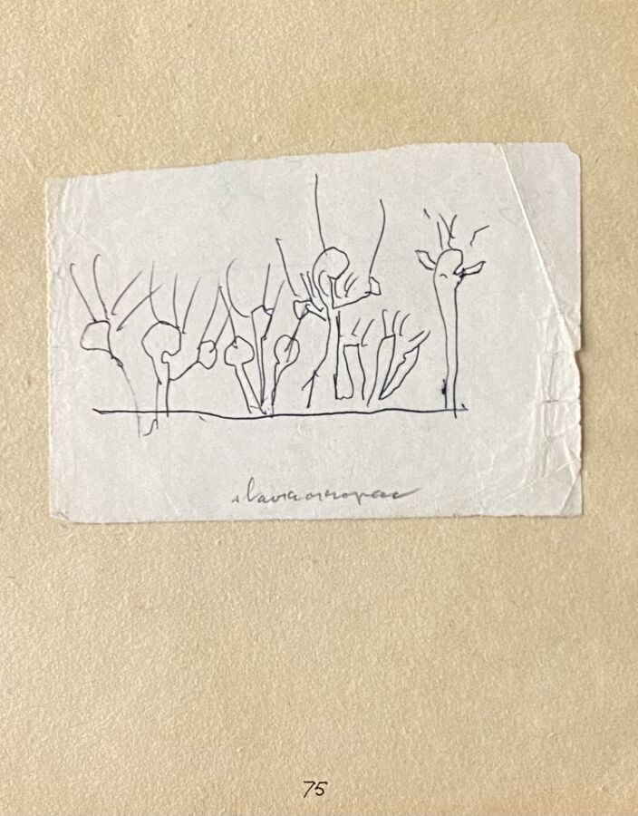 Slavko KOPA (1913-1995) - Les arbres, - Encre sur papier, signée en bas vers le…
