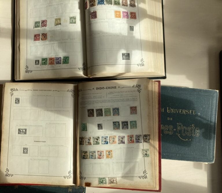 Albums Historiques - Important lot d'albums historiques