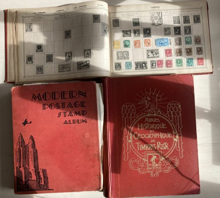 Albums Historiques - Important lot d'albums historiques