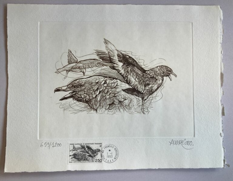 TAAF - Un ensemble de philatélie des terres australes dont timbres, gravures, d…