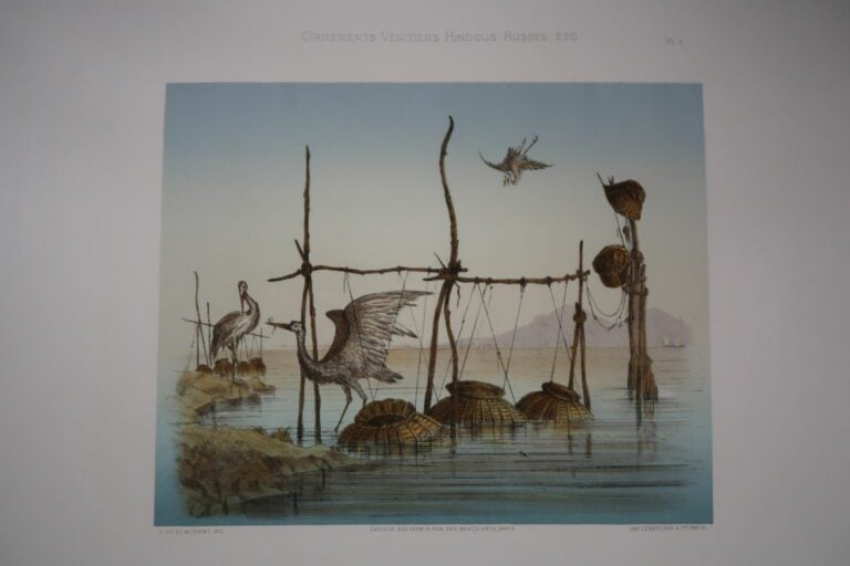 COLLINOT (E.) BEAUMONT (A. de) : - Ornements vénitiens, hindous, russes, etc ..…