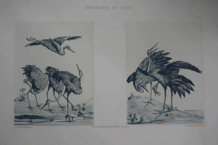 COLLINOT (E.) & BEAUMONT (A. de). - Ornements du japon. - Recueil de Dessins po…