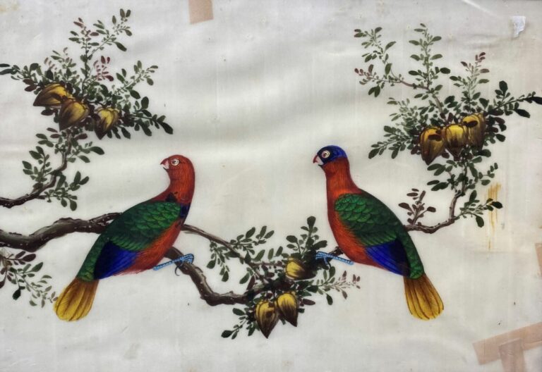 Chine - Paire de perroquets branchés - Gouache sur papier de riz - Dim. (à vue)…