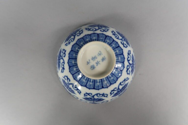 Chine, début XXe siècle - Bol en porcelaine bleu blanc à décor de lotus et élém…