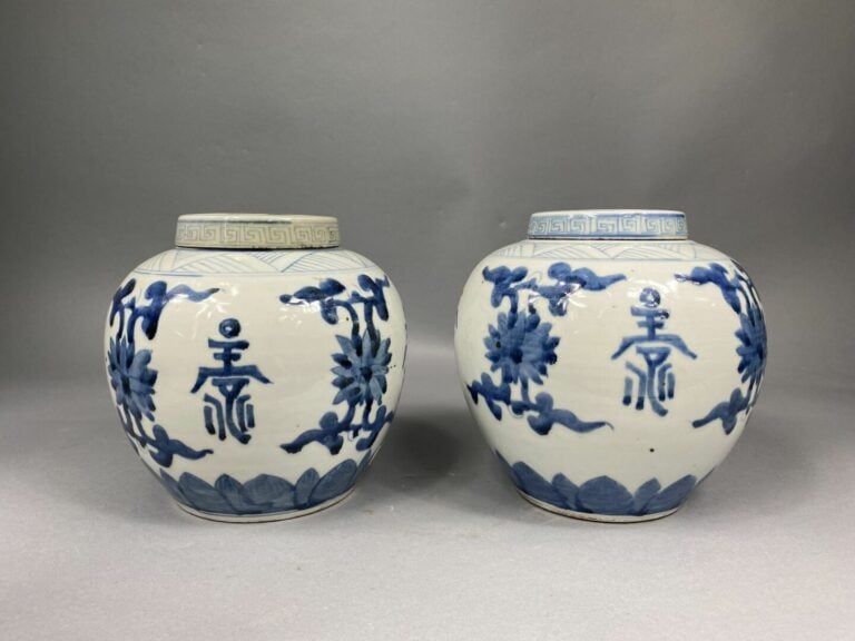 Chine, fin XIXe - début XXe siècle - Paire de pot à gingembre en porcelaine ble…
