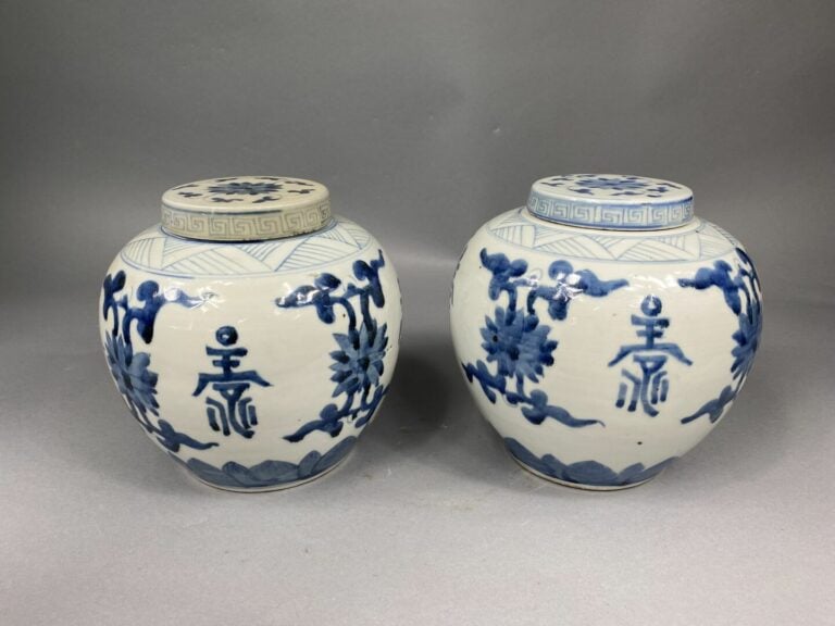 Chine, fin XIXe - début XXe siècle - Paire de pot à gingembre en porcelaine ble…
