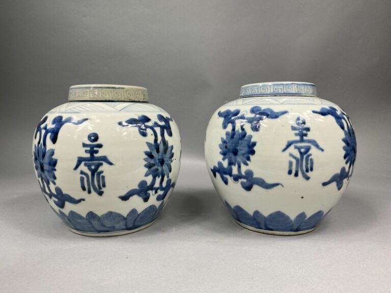 Chine, fin XIXe - début XXe siècle - Paire de pot à gingembre en porcelaine ble…