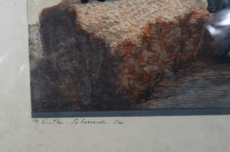 François-Louis SCHMIED (1973-1941) - Bicots noirs au col du N'Tichka. - Gravure…