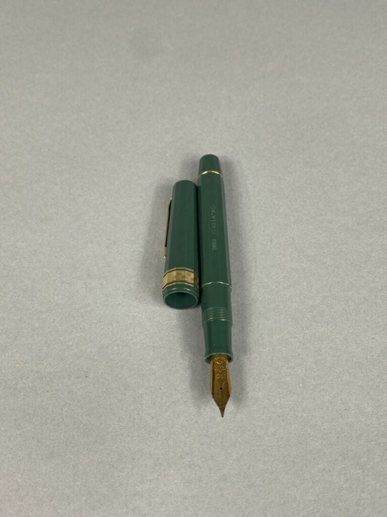 WATERMAN - Stylo plume, le corps en résine imitation écaille, plume or (750) -…