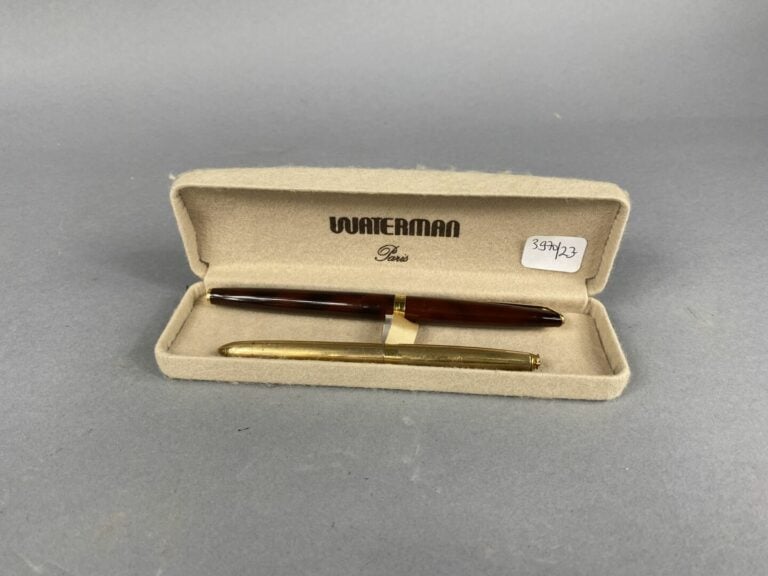 WATERMAN - Stylo plume, le corps en résine imitation écaille, plume or (750) -…
