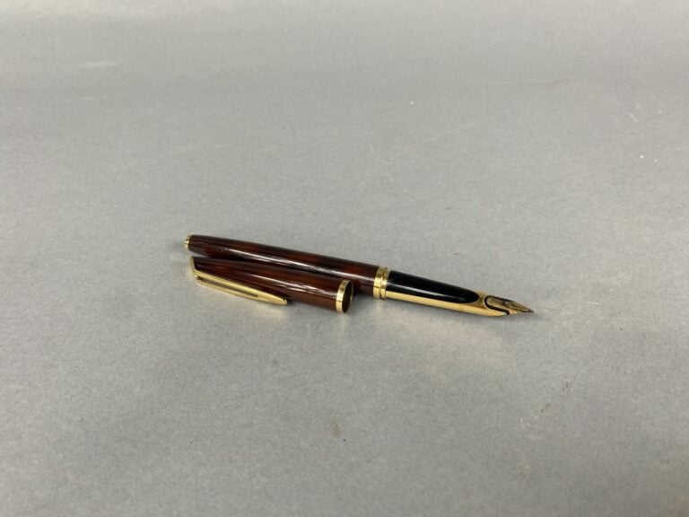 WATERMAN - Stylo plume, le corps en résine imitation écaille, plume or (750) -…