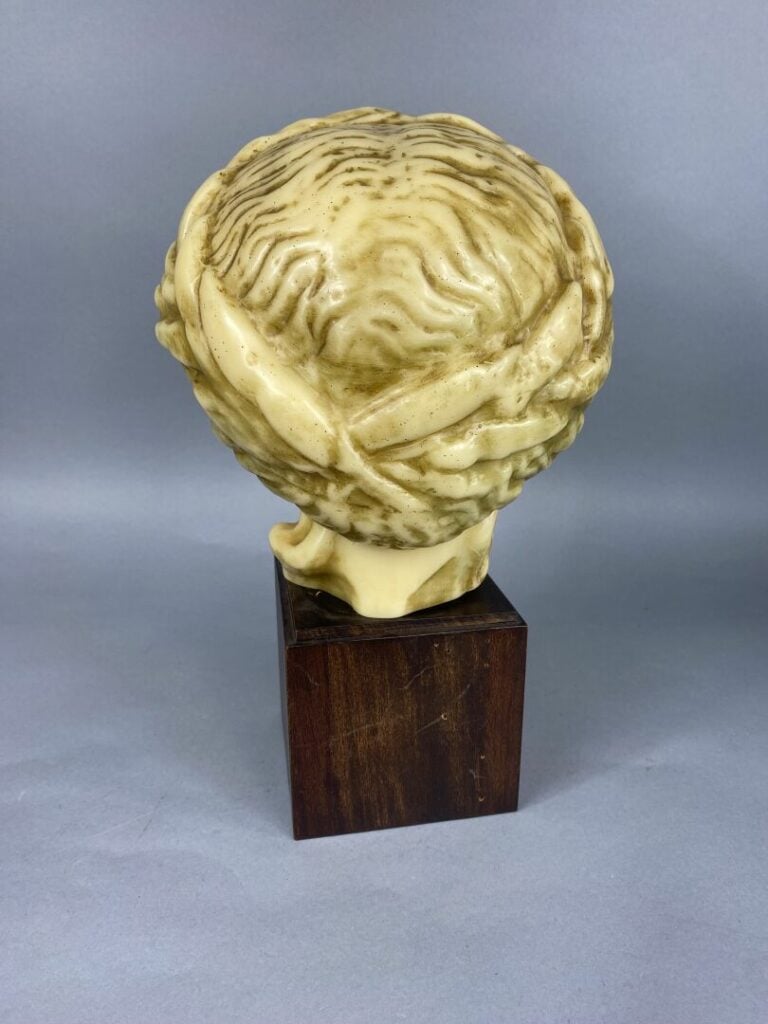 Reproduction d'une tête de Vénus romaine en cire, sur socle en bois - H : 35 cm…