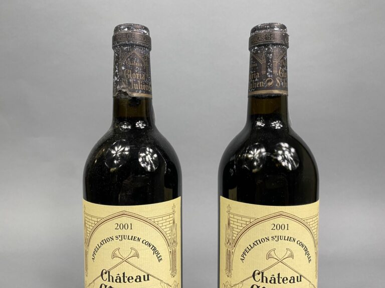 Château Gloria, Saint Julien - 2 bouteilles, 2001