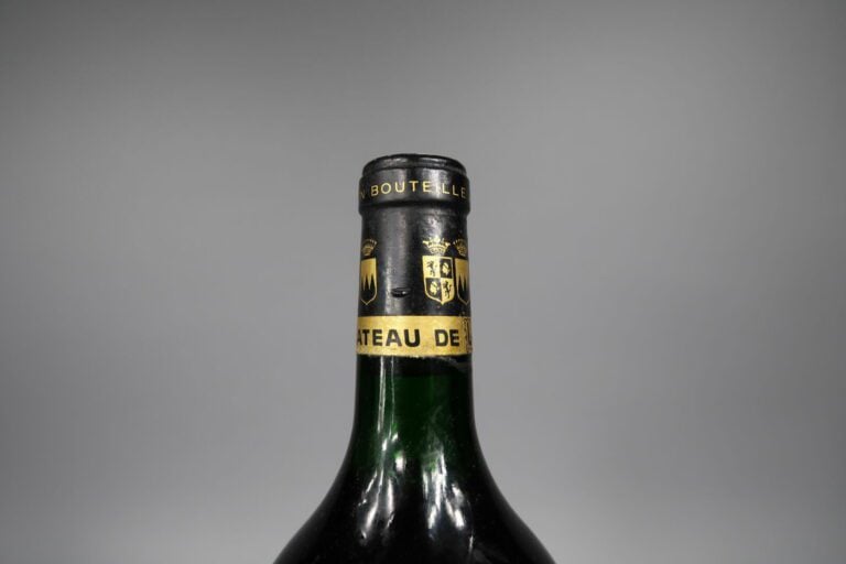 CHATEAU DELAMARQUE Haut Médoc 1985 - 1 magnum (petite déchirure à l'étiquette e…