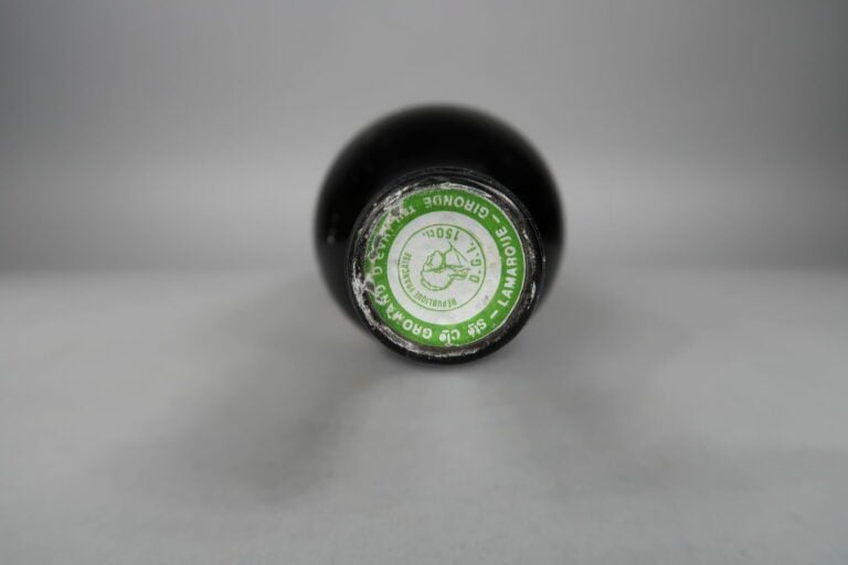 CHATEAU DELAMARQUE Haut Médoc 1985 - 1 magnum (petite déchirure à l'étiquette e…
