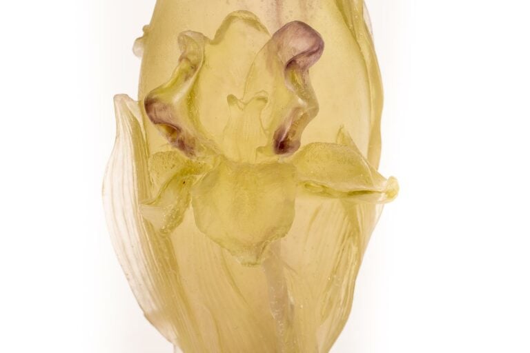 DAUM FRANCE. - Vase de forme balustre en pâte de verre jaune et mauve représent…