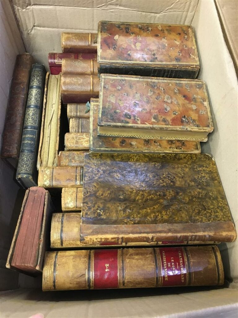 Deux cartons de livres sur l'Histoire et les Voyages, Histoire du Tribunal Révo…
