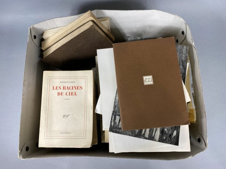 [Documentation] - Carton de documentation divers dont volumes concernant la Bie…