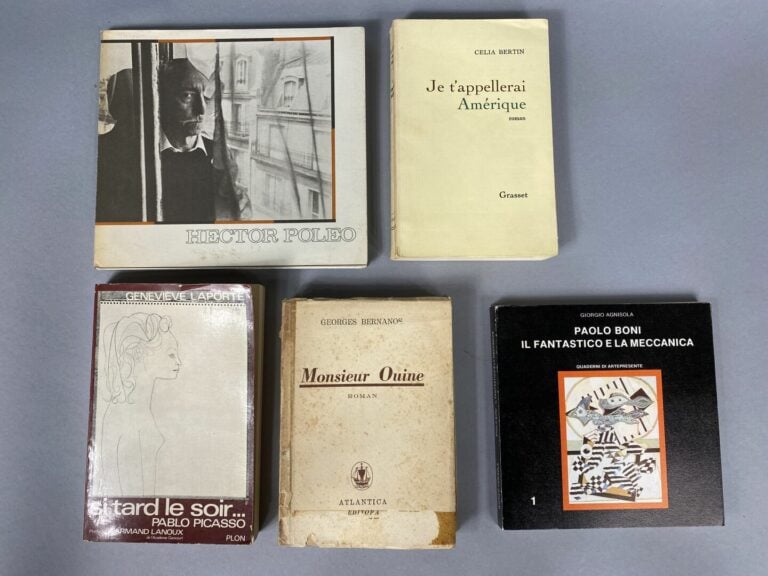 [Documentation] - Carton de documentation divers dont volumes concernant la Bie…