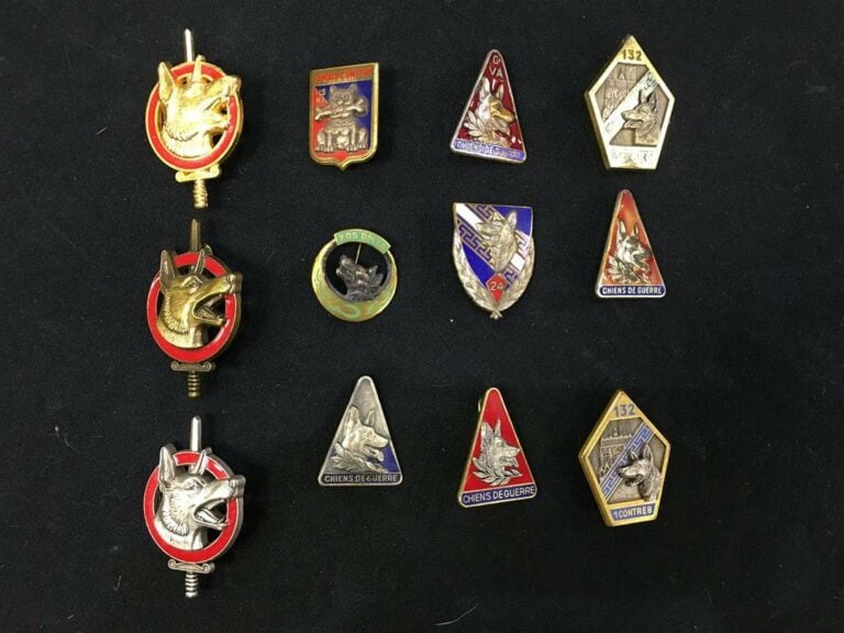 Ensemble de treize insignes militaires cynophiles, chiens de guerre.