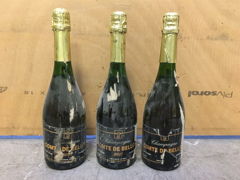3 bouteilles, COMTE DE BELLOY, Champagne (étiquettes abîmées).