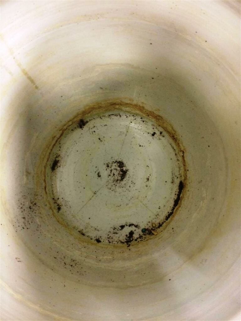 GRANDE VASQUE A POISSONS / AQUARIUM EN PORCELAINE - Chine, Epoque début du XXe…