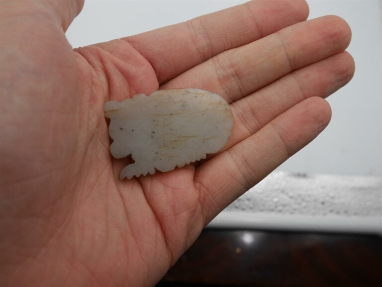 PETITE PLAQUE EN JADE NEPHRITE SCULPTEE A L'IMITATION D'UN OURS - Chine, Epoque…