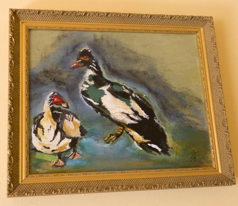 Ecole du XXème siècle. - Etude d'oiseaux - Huile sur toile, monogrammée en bas…