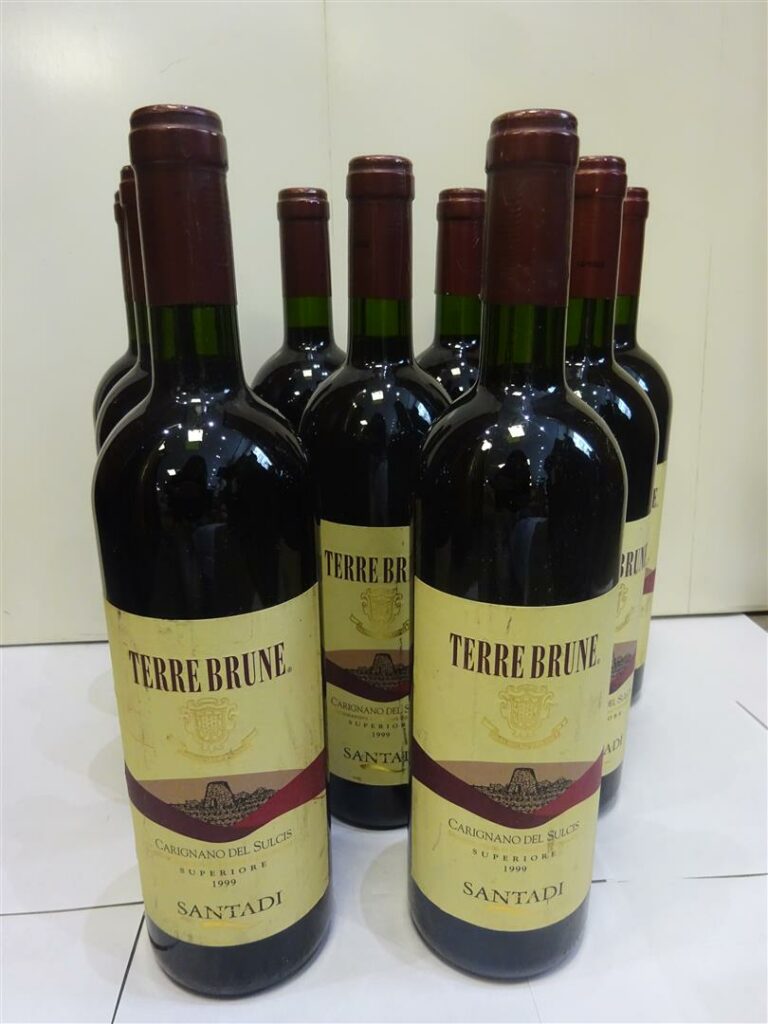 9 bouteilles, TERREBRUNE, Carignano del Sulcis, Superiore Vin Italien, 1999