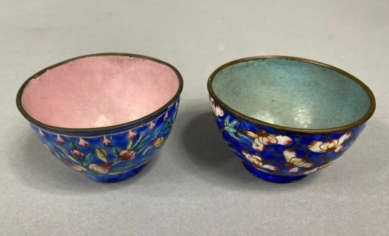 Chine, Canton - Ensemble de deux sorbets en émaux cloisonnés à décor de brancha…